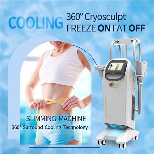 Máquina de congelación de grasa Coolsculption de crioterapia